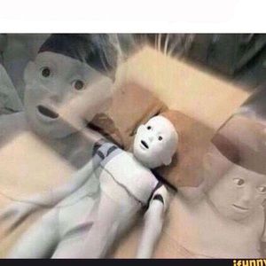 Meet your Posher, Julius